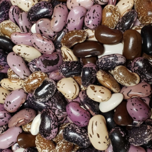 Runner Bean: Milky Fork